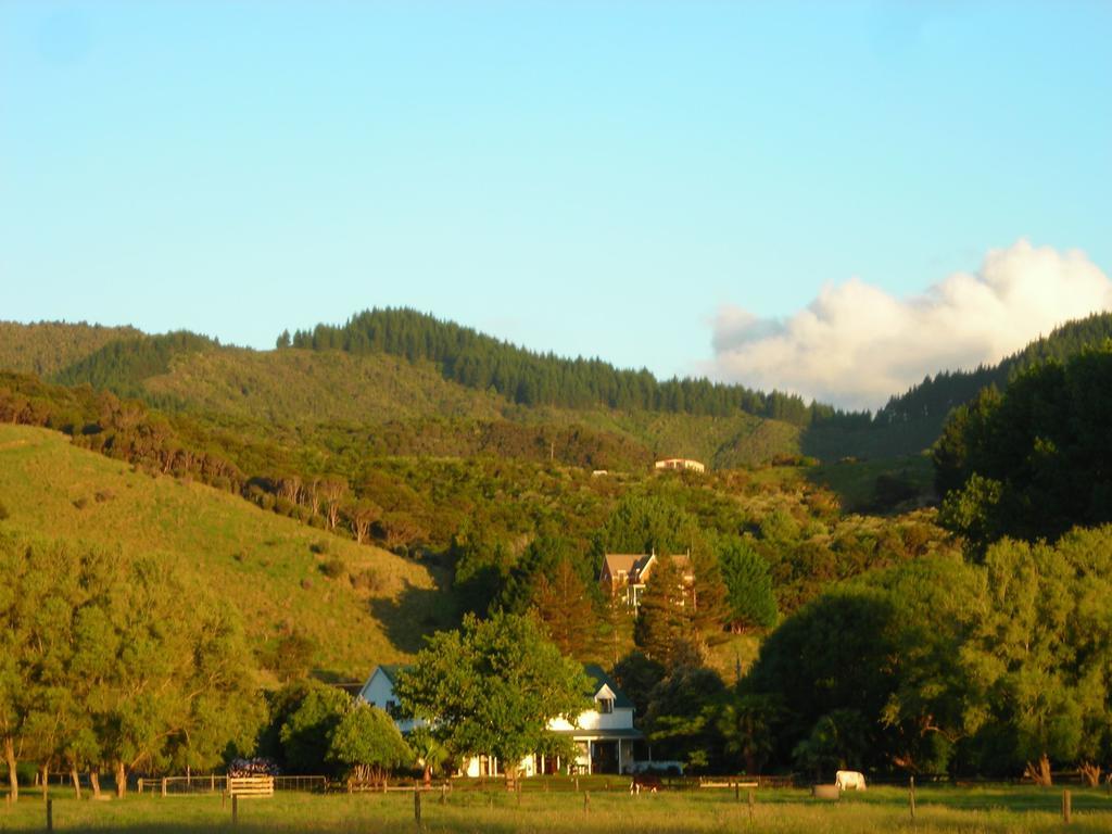 Jacaranda Lodge Coromandel Ngoại thất bức ảnh