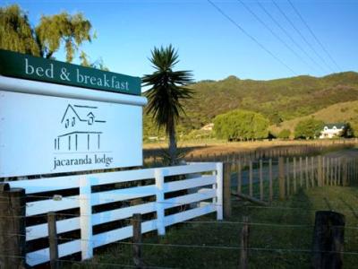 Jacaranda Lodge Coromandel Ngoại thất bức ảnh