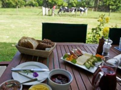 Jacaranda Lodge Coromandel Ngoại thất bức ảnh